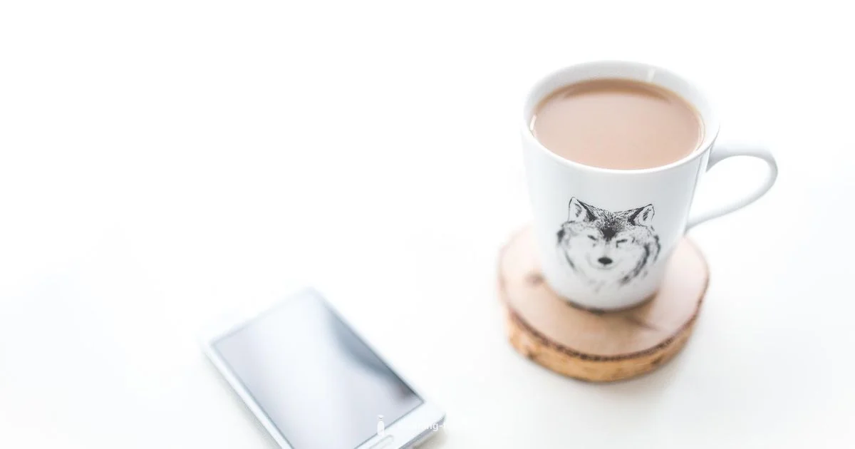 Free Phone Cleaning - Cleaning Tips