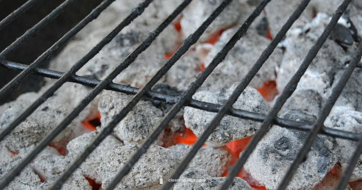 Clean Grill Routine - Cleaning Tips