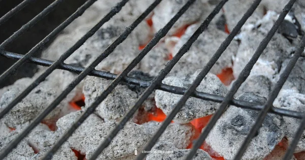 Clean Grill Routine - Cleaning Tips