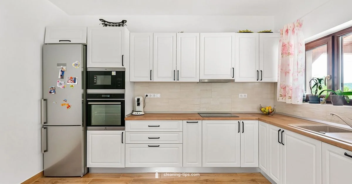 Clean Plate Mastery - Cleaning Tips