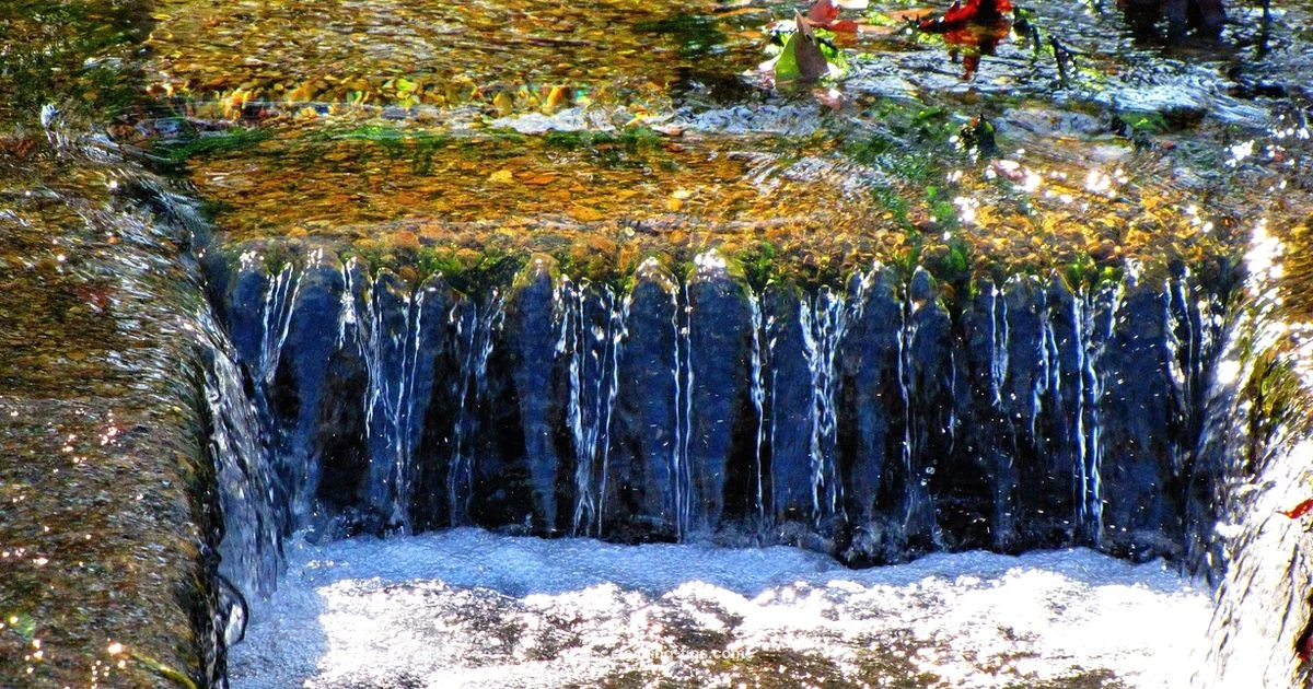 Drain Cleaning Basics Drain Cleaning Basics - Cleaning Tips