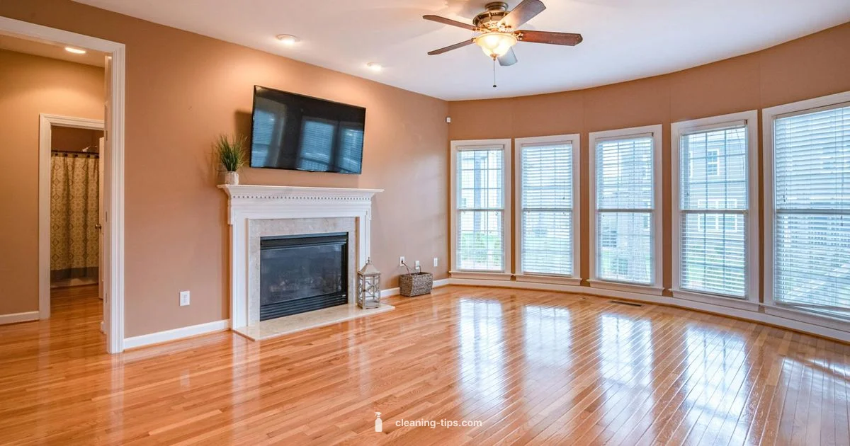 Clean House Ducts Guide - Cleaning Tips