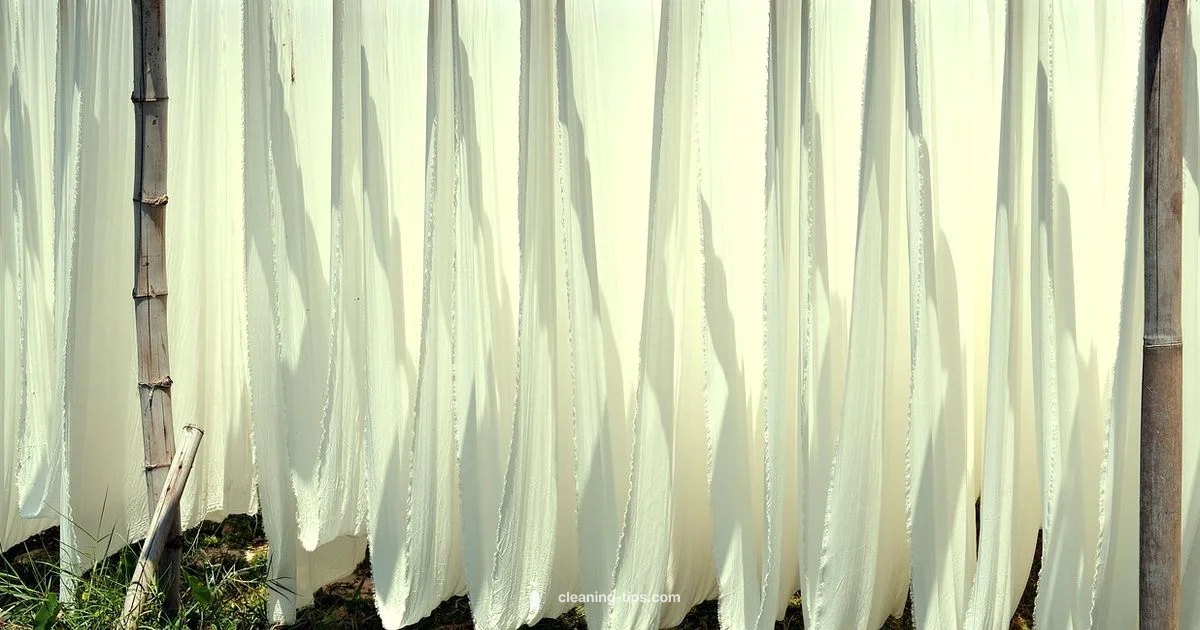 Dry Cleaning Guide - Cleaning Tips