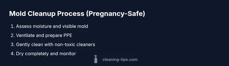 Process flow of pregnancy-safe mold cleanup