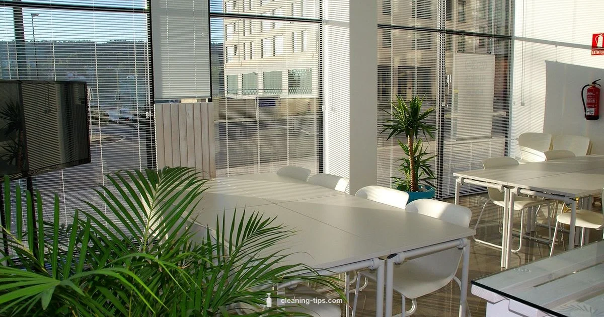 Clean and Company Office - Cleaning Tips