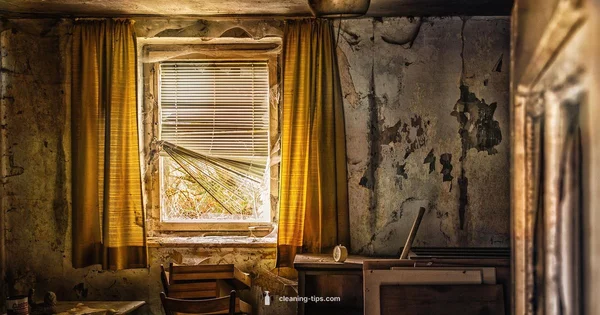 Tiny Cleaning Sprints - Cleaning Tips