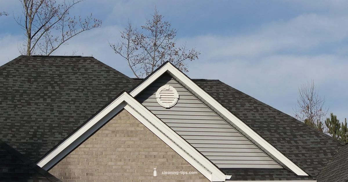 Gutter Cleaning Guide - Cleaning Tips