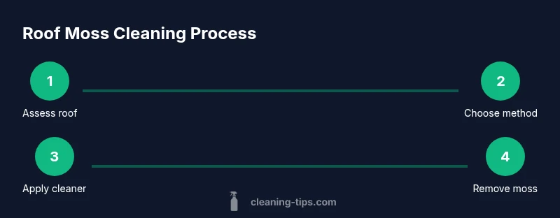 Process diagram showing roof moss cleaning steps