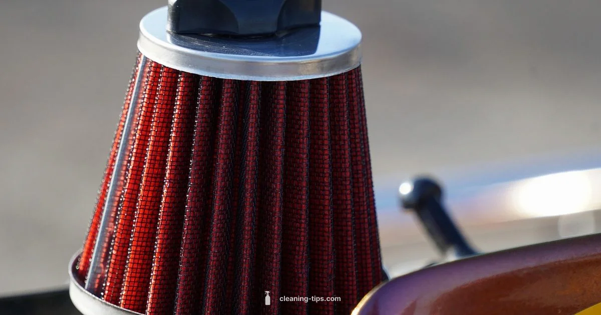 Mass Air Flow Cleaning - Cleaning Tips