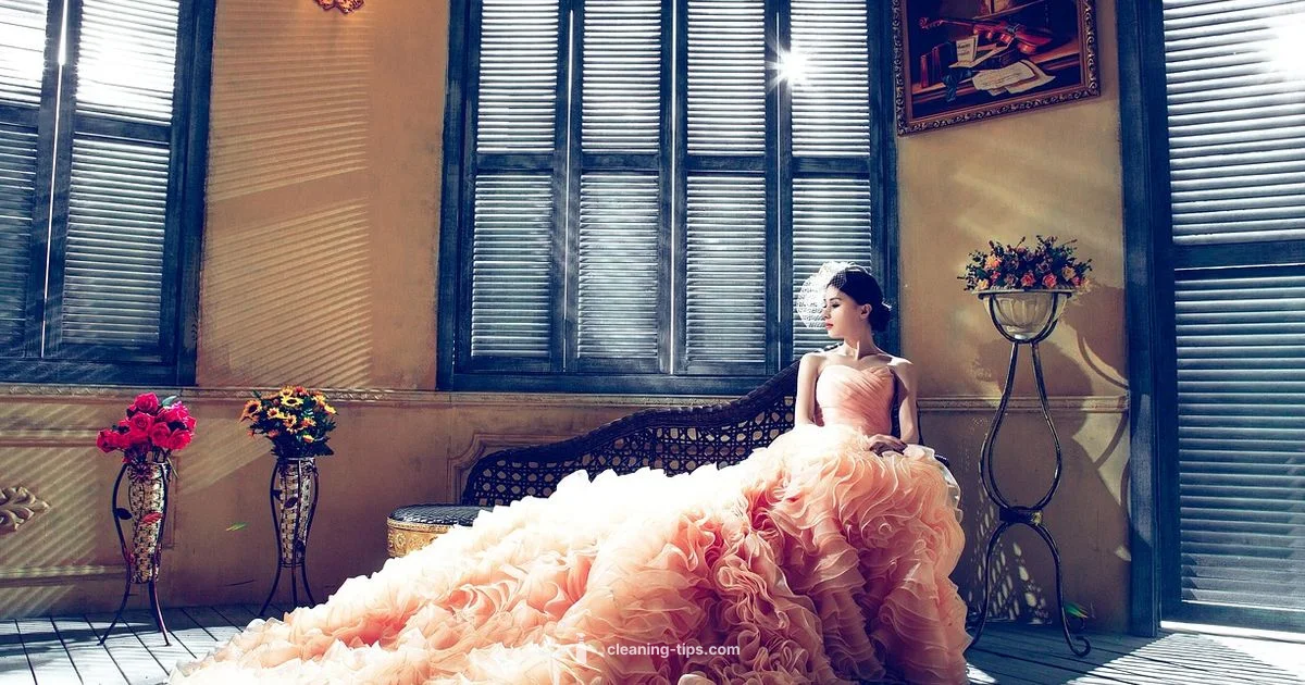 Dress Care Guide - Cleaning Tips