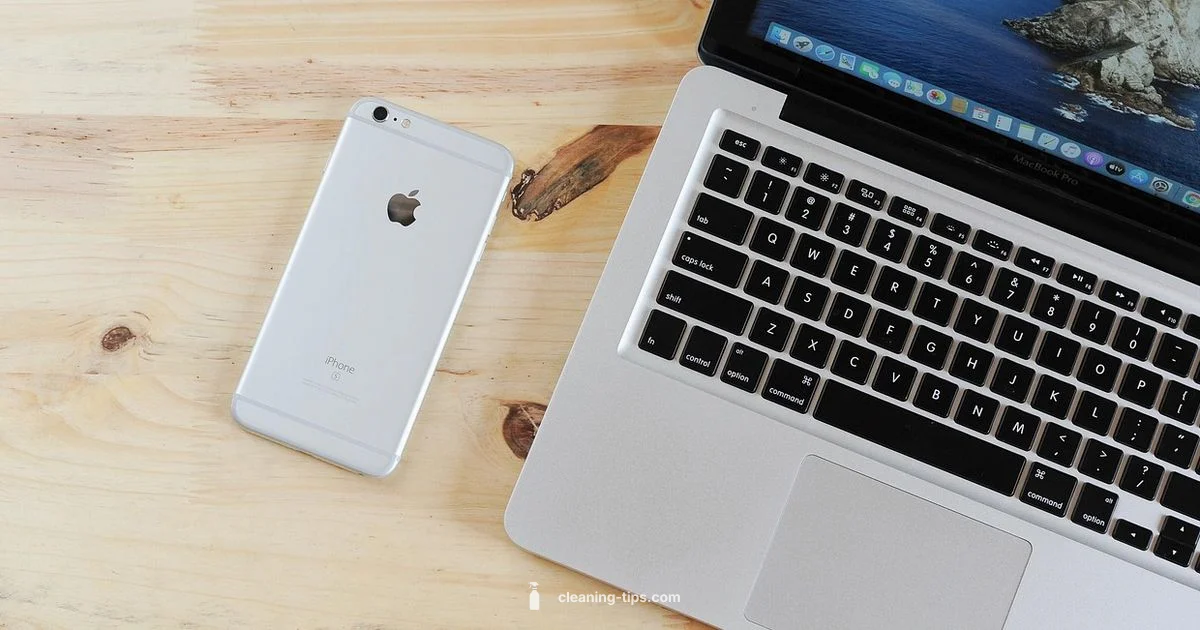 Port Cleaning Guide Port Cleaning Guide - Cleaning Tips