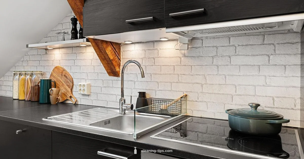 Clean Up Crew Guide - Cleaning Tips