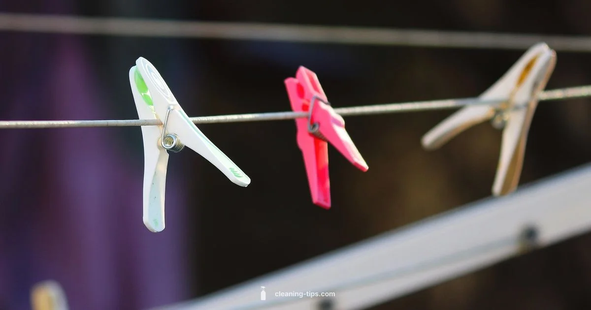 Why Wash Matters - Cleaning Tips