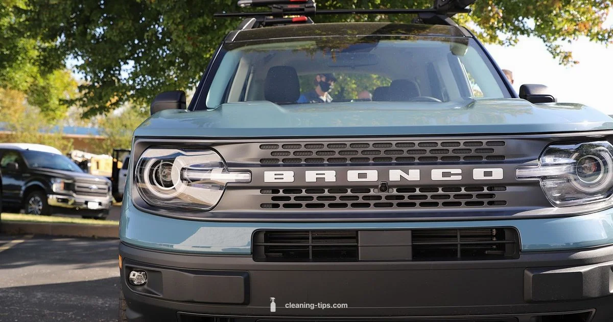 Title History Guide Title History Guide - Cleaning Tips