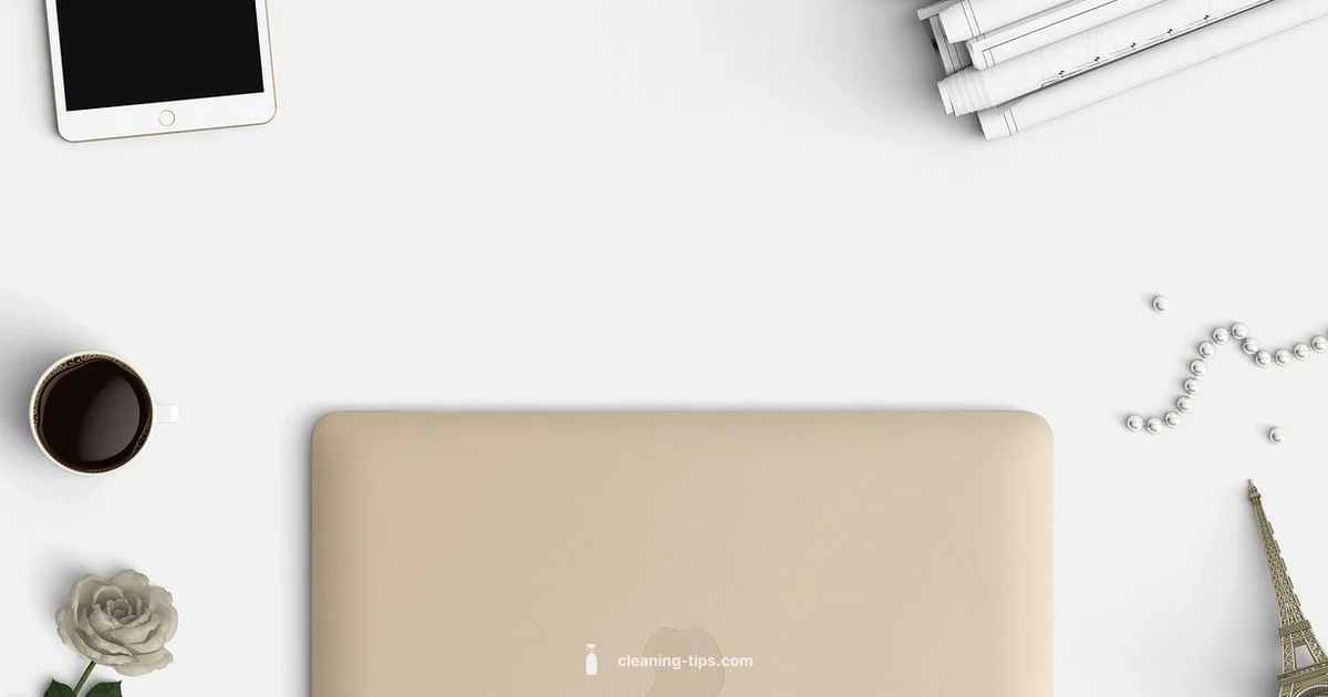 Laptop Screen Cleanup - Cleaning Tips
