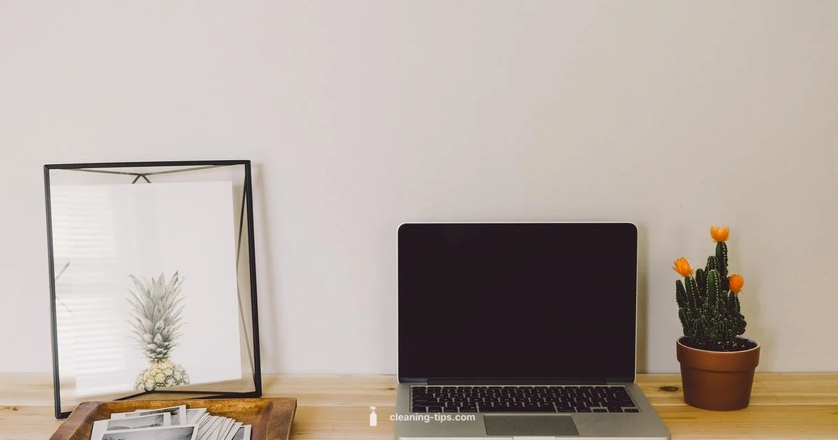 icloud clean guide - Cleaning Tips