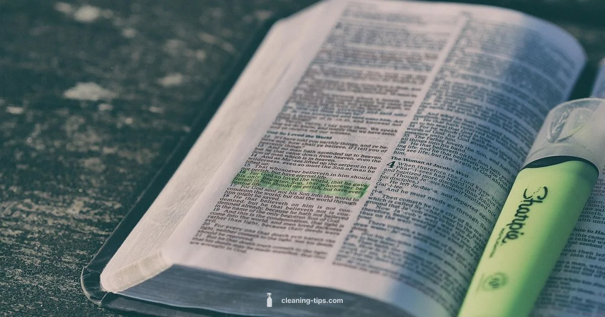 Clean vs Unclean Animals - Cleaning Tips