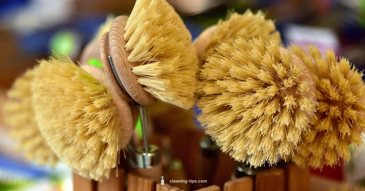 Brush Care Basics - Cleaning Tips